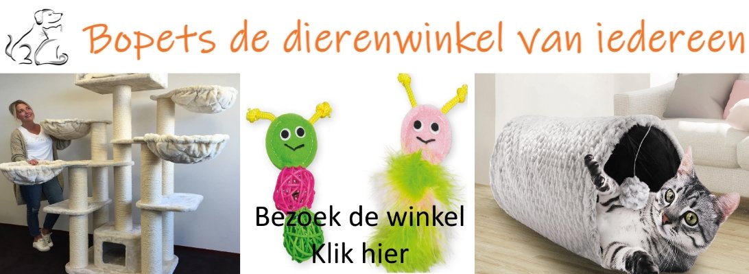 bopets dierenwinkel